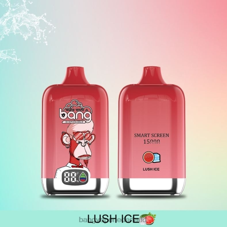 Bang Vape Nederland - Bang Vape Digital Smart Screen 15000 trekjes 25ml wegwerpbaar 6HPJ011