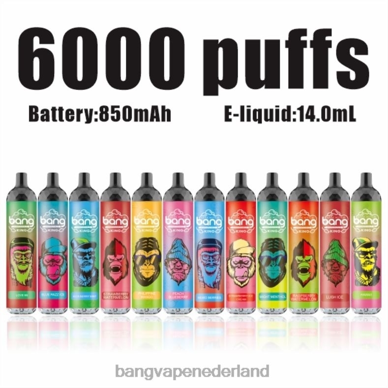 Vape Gang Shop - Bang Vape King 6000 trekjes 5% nic oplaadbaar type-c wegwerpbaar 6HPJ08