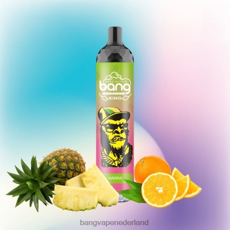 Vape Gang Shop - Bang Vape King 6000 trekjes 5% nic oplaadbaar type-c wegwerpbaar 6HPJ08