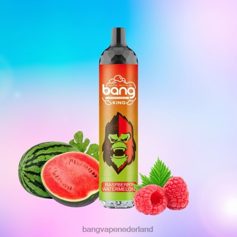 Vape Gang Shop - Bang Vape King 6000 trekjes 5% nic oplaadbaar type-c wegwerpbaar 6HPJ08