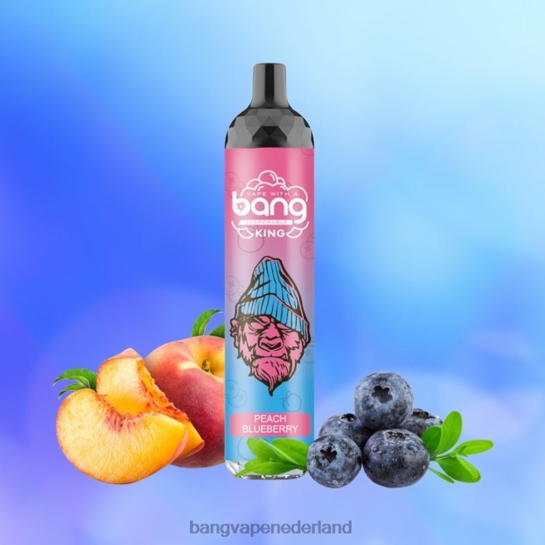 Vape Gang Shop - Bang Vape King 6000 trekjes 5% nic oplaadbaar type-c wegwerpbaar 6HPJ08
