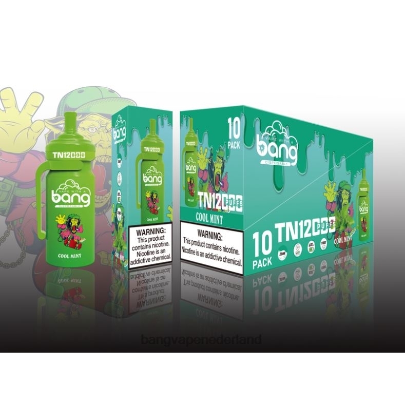 Vape With A Bang Disposable - Bang Vape TN12000 pod met mesh-spoel wegwerpbaar 6HPJ05
