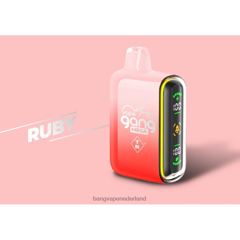 Vape Gang Disposable - Vape Gang MEGA 20.000 pufjes wegwerpvape (doos van 5) robijn 6HPJ058