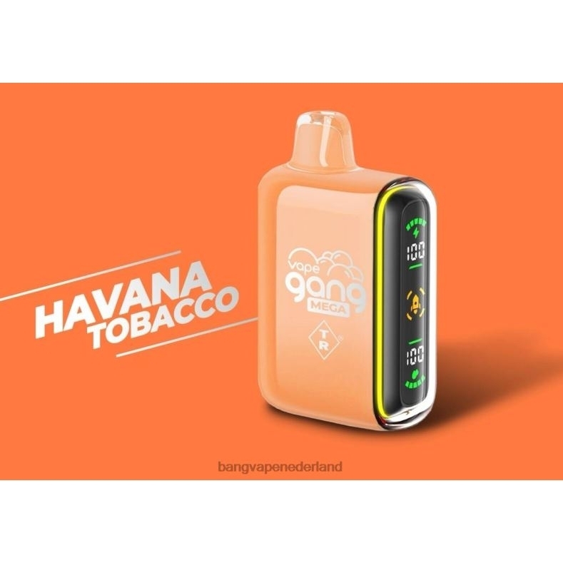 Havana Tabak