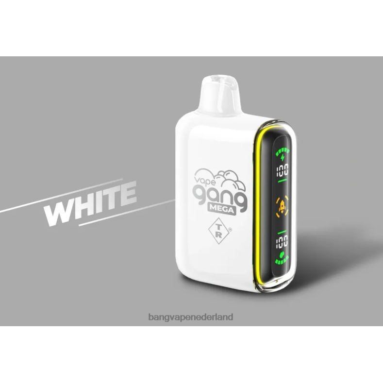Vape Gang Shop - Vape Gang MEGA 20.000 pufjes wegwerpvape (doos van 5) wit 6HPJ060