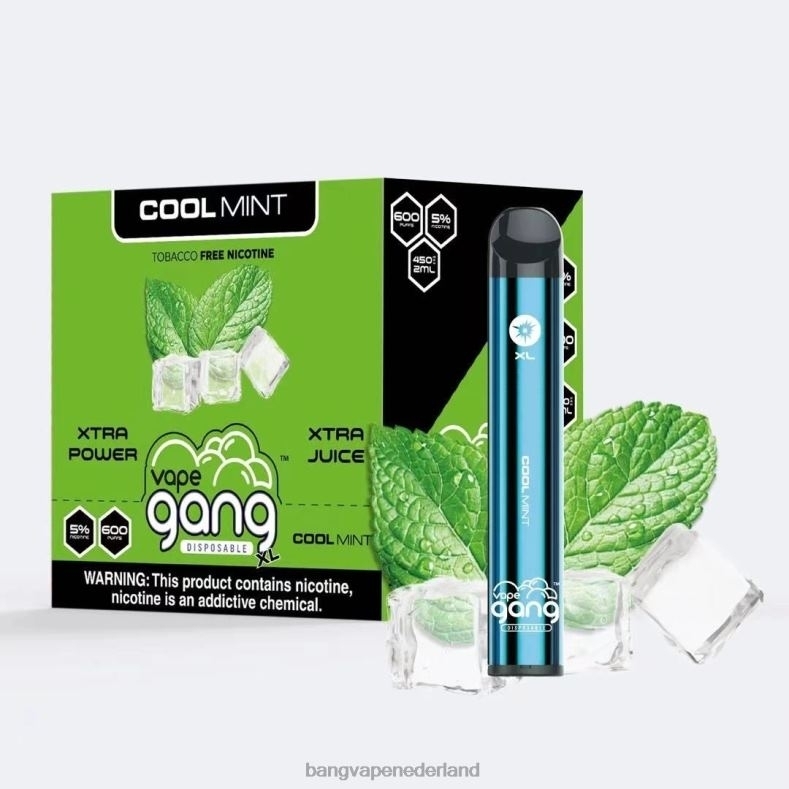 Bang Wegwerp Vape - Vape Gang XL wegwerpvapes 600 trekjes (doos van 10) frisse munt 6HPJ079