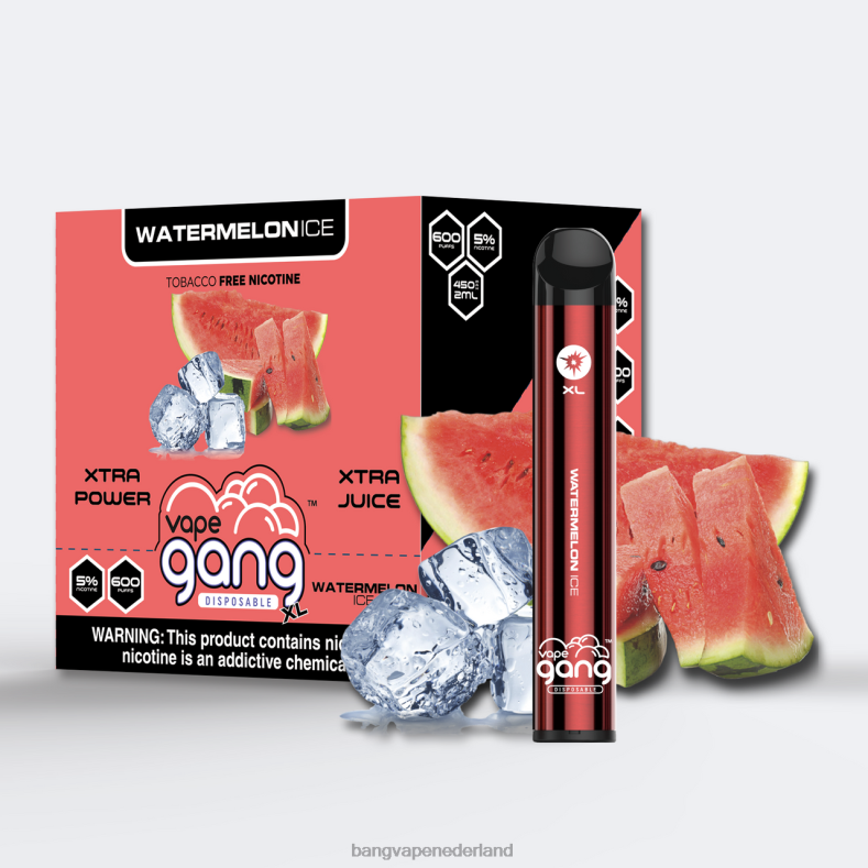 Vape Gang Amsterdam - Vape Gang XL wegwerpvapes 600 trekjes (doos van 10) watermeloen ijs 6HPJ076