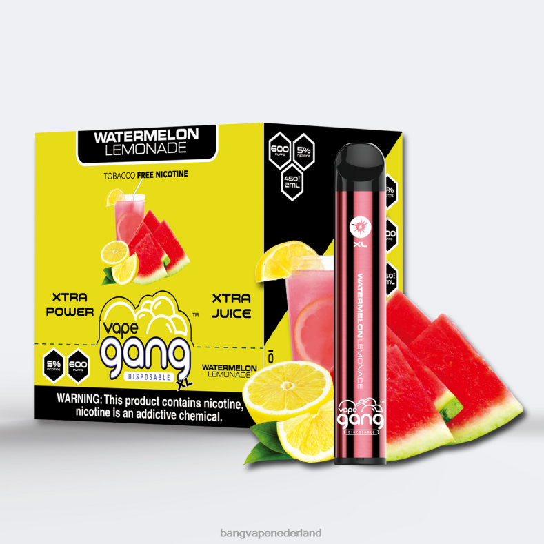 Vape Gang Nederland - Vape Gang XL wegwerpvapes 600 trekjes (doos van 10) watermeloen limonade 6HPJ065